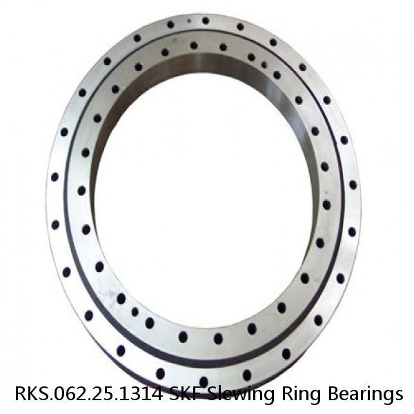 RKS.062.25.1314 SKF Slewing Ring Bearings #1 small image