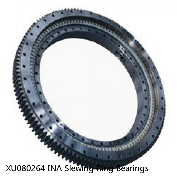 XU080264 INA Slewing Ring Bearings #1 small image