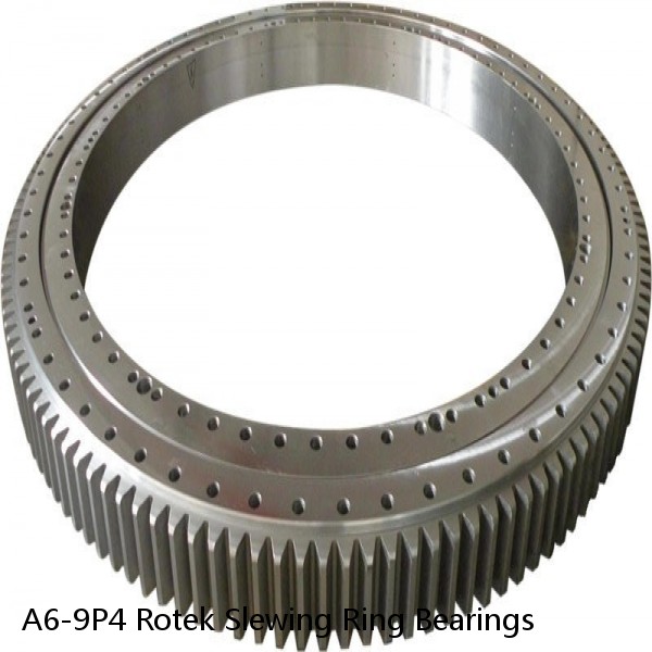 A6-9P4 Rotek Slewing Ring Bearings
