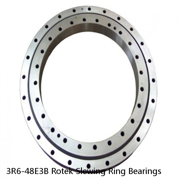 3R6-48E3B Rotek Slewing Ring Bearings #1 small image
