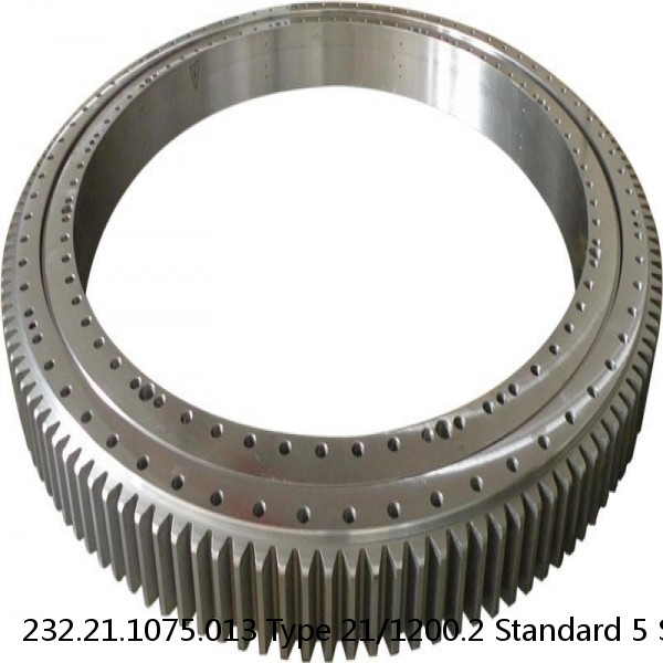 232.21.1075.013 Type 21/1200.2 Standard 5 Slewing Ring Bearings #1 small image