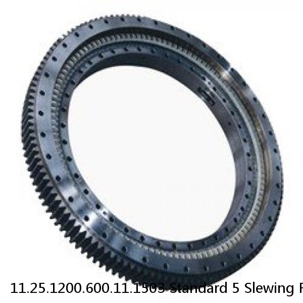 11.25.1200.600.11.1503 Standard 5 Slewing Ring Bearings #1 small image
