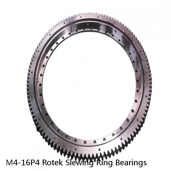 M4-16P4 Rotek Slewing Ring Bearings #1 image