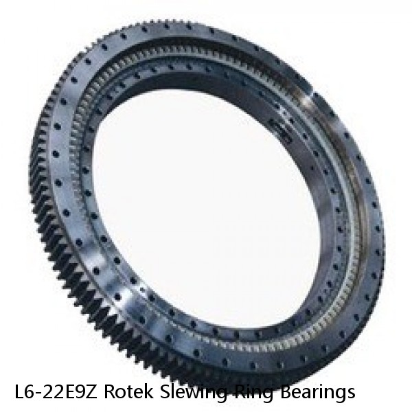 L6-22E9Z Rotek Slewing Ring Bearings #1 image