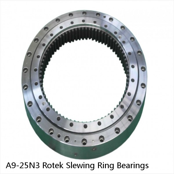 A9-25N3 Rotek Slewing Ring Bearings #1 image