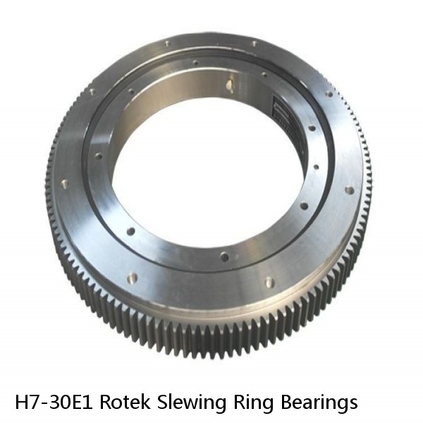 H7-30E1 Rotek Slewing Ring Bearings #1 image