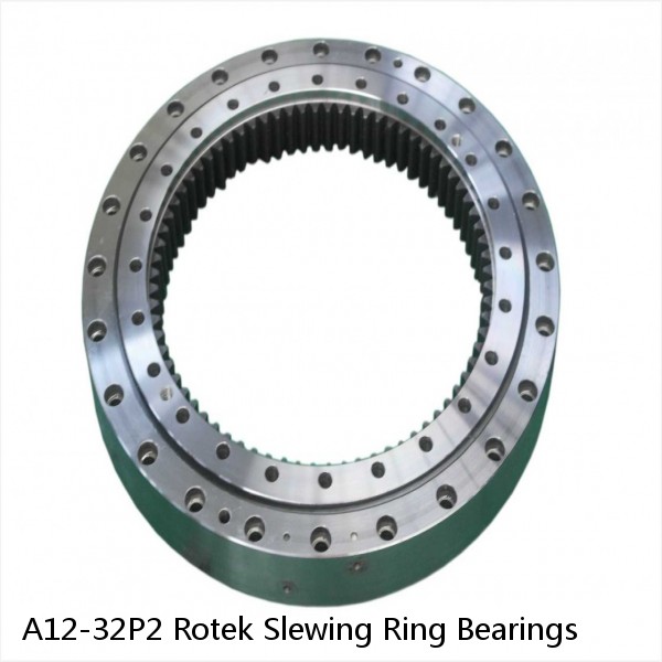 A12-32P2 Rotek Slewing Ring Bearings #1 image