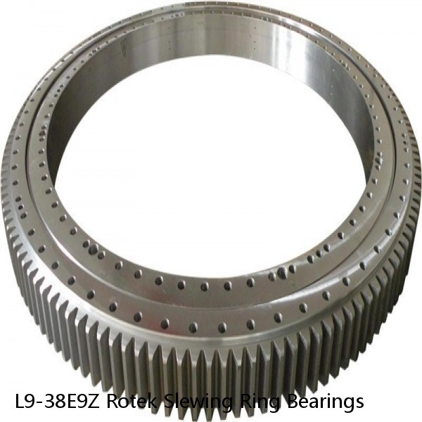 L9-38E9Z Rotek Slewing Ring Bearings #1 image