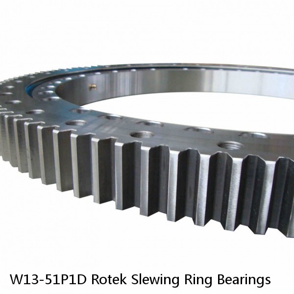 W13-51P1D Rotek Slewing Ring Bearings #1 image