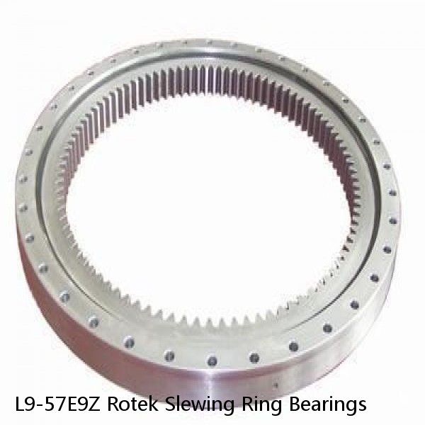 L9-57E9Z Rotek Slewing Ring Bearings #1 image