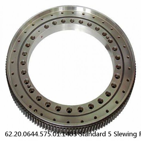 62.20.0644.575.01.1403 Standard 5 Slewing Ring Bearings #1 image