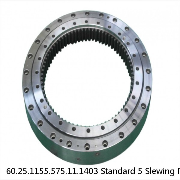 60.25.1155.575.11.1403 Standard 5 Slewing Ring Bearings #1 image